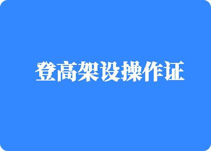 17c黑人69av登高架设操作证